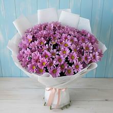 Букет цветов из:  Хризантемы в Новокумском