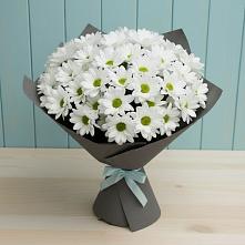 Букет цветов из:  Хризантемы в Новокумском