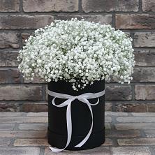 Цветочная композиция из Гипсофила в шляпной коробке в Новокумском